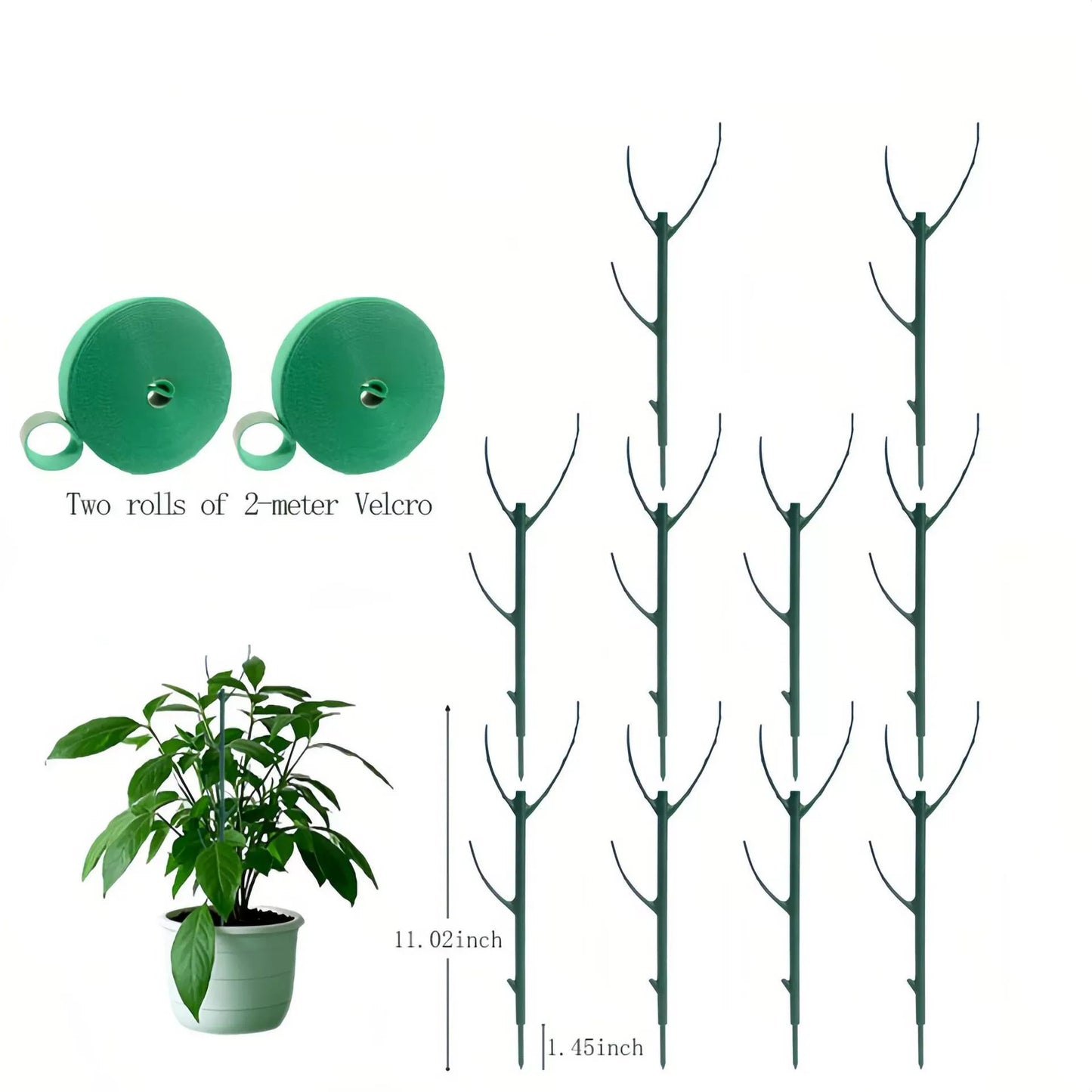 ๐๐๐ฟ 5 Pack Plant Support Stakes