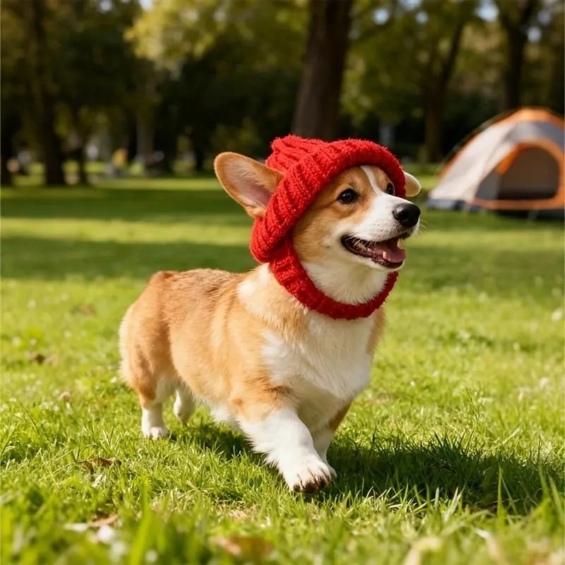🔥LAST DAY 50% OFF - 🐾Red Wool Knit Dog Beanie with Ear Flaps – Warm Winter Hat